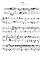 Cadenza for Beethoven’s Piano Concerto in C Minor