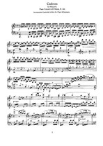 Cadenza for Mozart’s Piano Concerto in D Minor